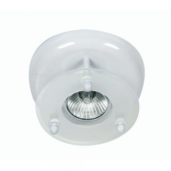 Surface Downlight