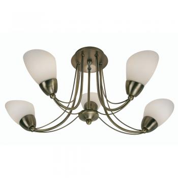 Altair 5 Light