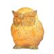 Owl novelty light